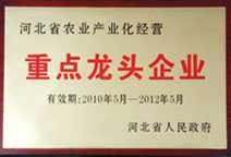 Yarns|Gray Fabric|Garment|Bedding Articles--Shijiazhuang Changshan Textile Group Co., Ltd 