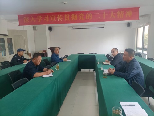 集团副总司理马如猛带队到常臻商贸公司督导检查