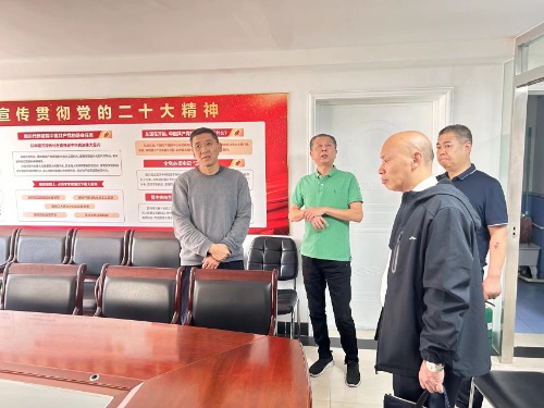 凯时AG集团党委副书记何灵云到供销公司、恒永公司、实业公司及棉四职工医院、凯时AG北明总部等企业举行调研督导